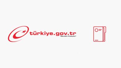 e devlet dava dosyası